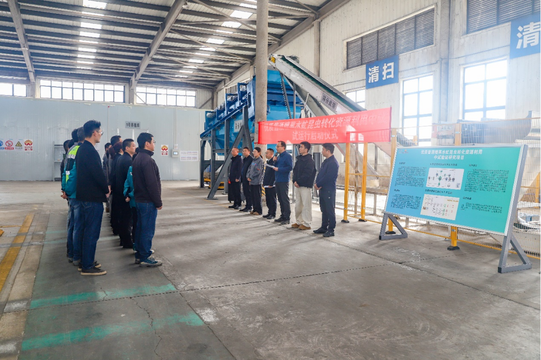 维尔利酱酒糟黑水虻转化中试项目启动试运行